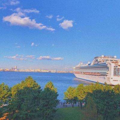 金沙官方登录入口