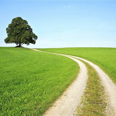 澳门4949资料免费大全app下载