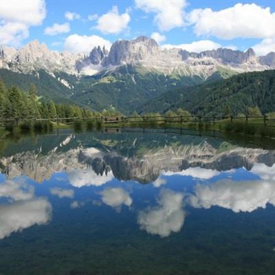 大小单双正规平台下载